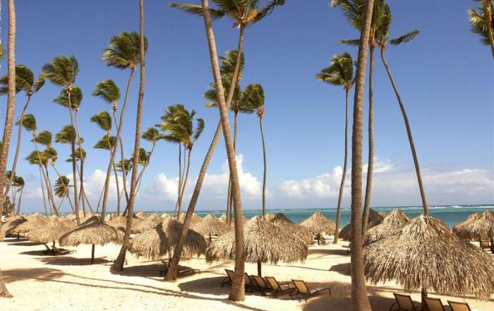 Touch Down on the Soft Golden Sands