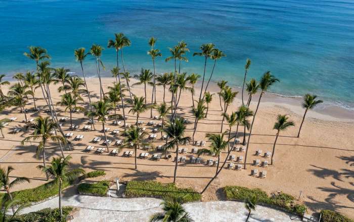 Pearched on a Peaceful Stretch of Beach