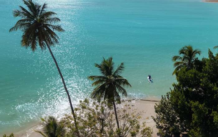 Thumbnail for image 3