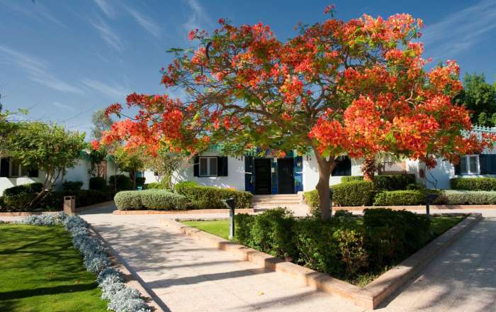 Bungalow rooms at Ghazala Beach Hotel Naama Bay