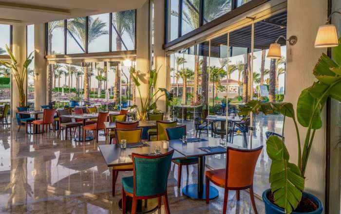 Incredible International Buffet at The Palm Restaurant