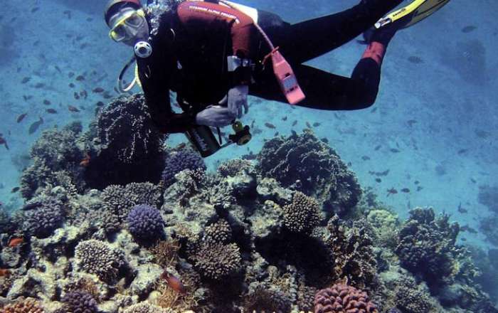 Enjoy a wide variety of watersports