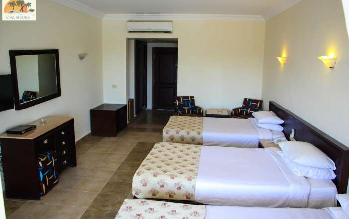 Thumbnail for image 4