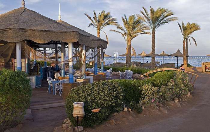 Thumbnail for image 3