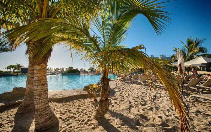 Thumbnail for image 4