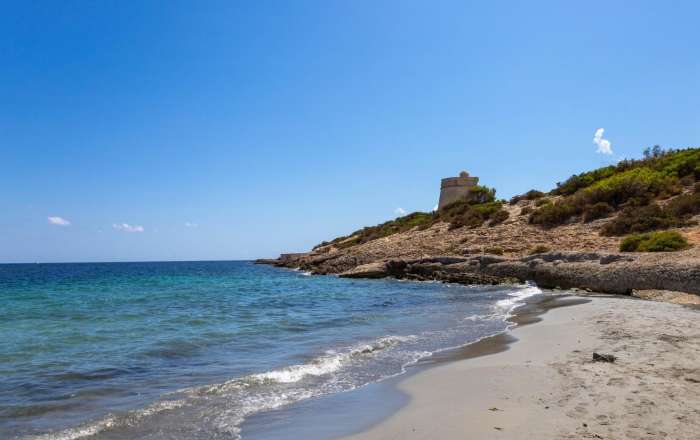 Thumbnail for image 4