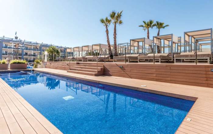 Sun Loungers & Pool Area