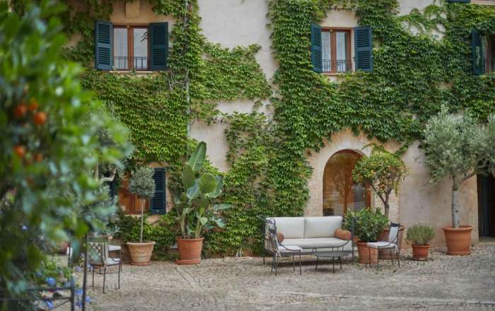 Lose your thoughts in this green abyss