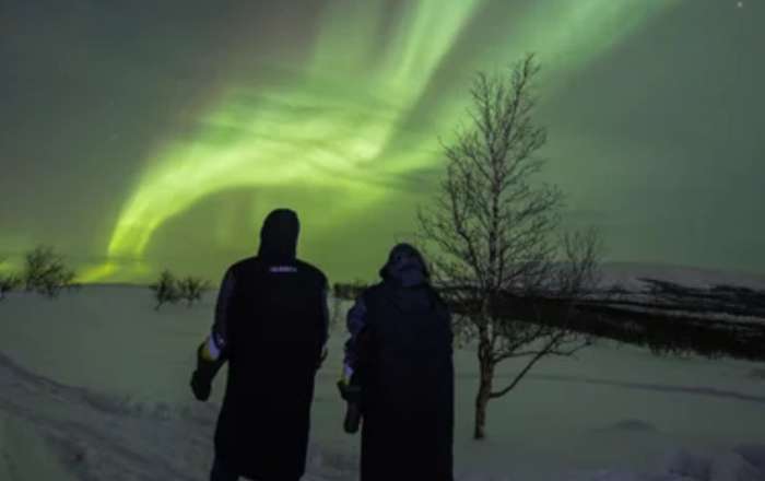 Romantic Northern Lights Forest Trek