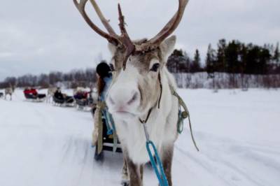 Signature image of Winter Wonderland Day Trip.