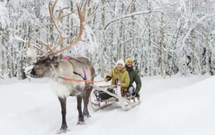 Reindeer Sleigh Ride