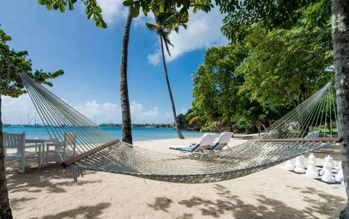 Thumbnail for image 2