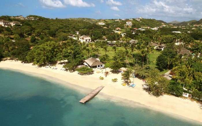 Thumbnail for image 3