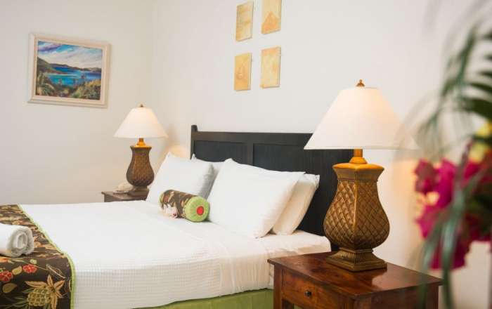 Thumbnail for image 4