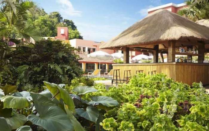 Thumbnail for image 1