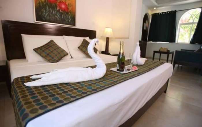 Thumbnail for image 3