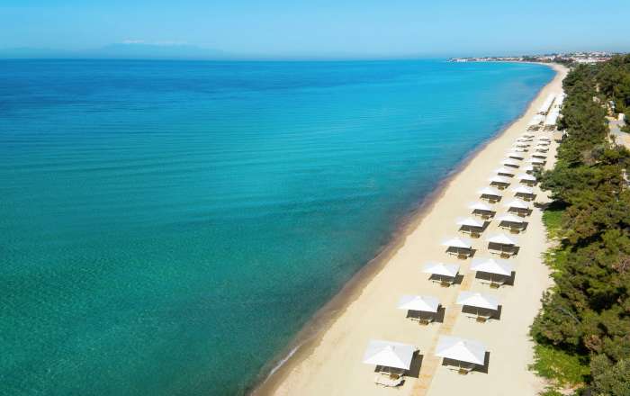 Beachfront Area Stretching Along the Coast