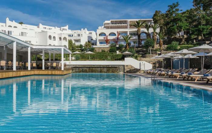 Take a Dip in the Expansive Pool