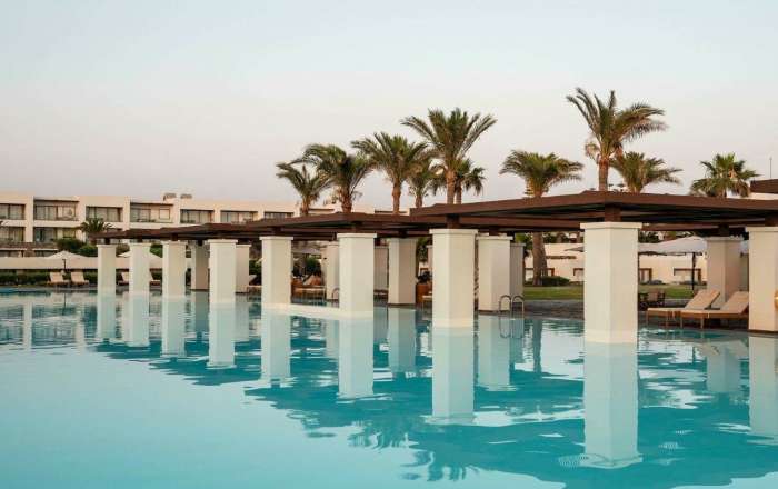 Olympic-Sized Swimming Pool