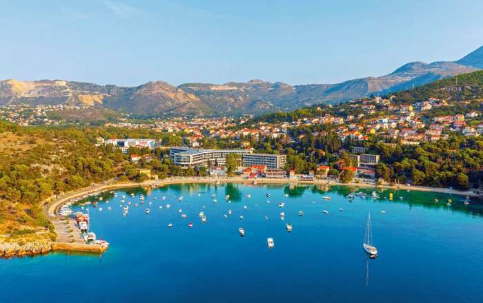 Thumbnail for image 3