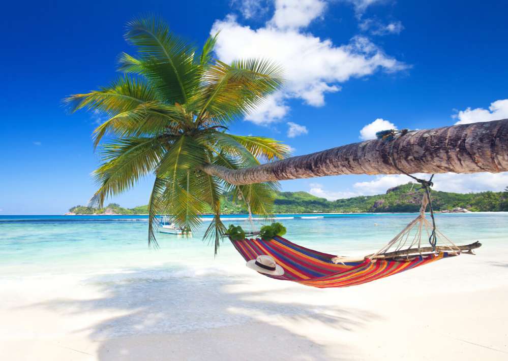 A hammock tied to the low hanging tree on a beach.