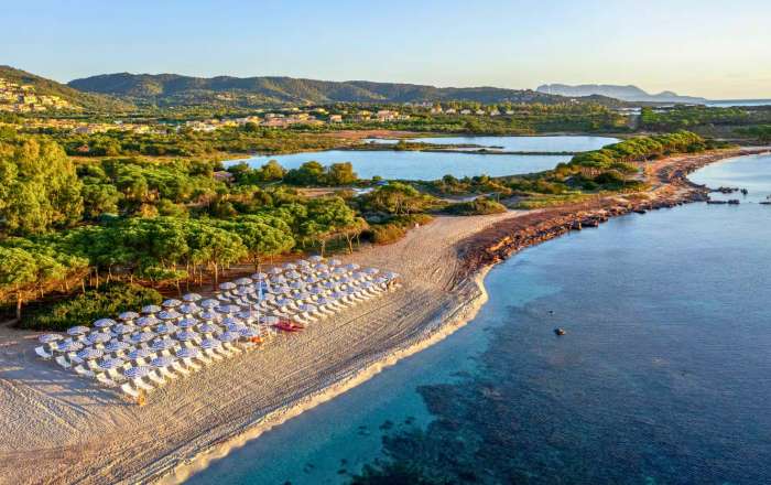 Aerial view of beach