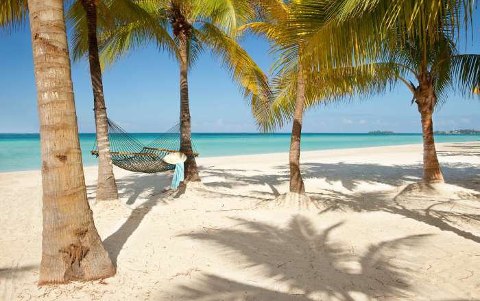 Thumbnail for image 1