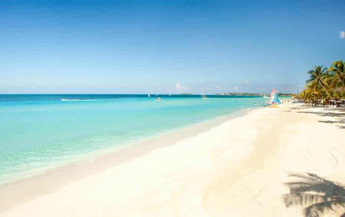 Thumbnail for image 2