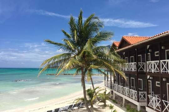 Main image of the hotel Mangos Jamaica Beach Resort.