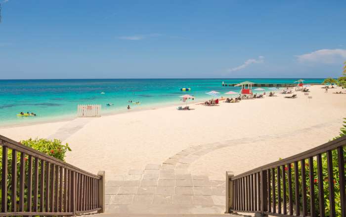 Perched on Doctors Cave Beach