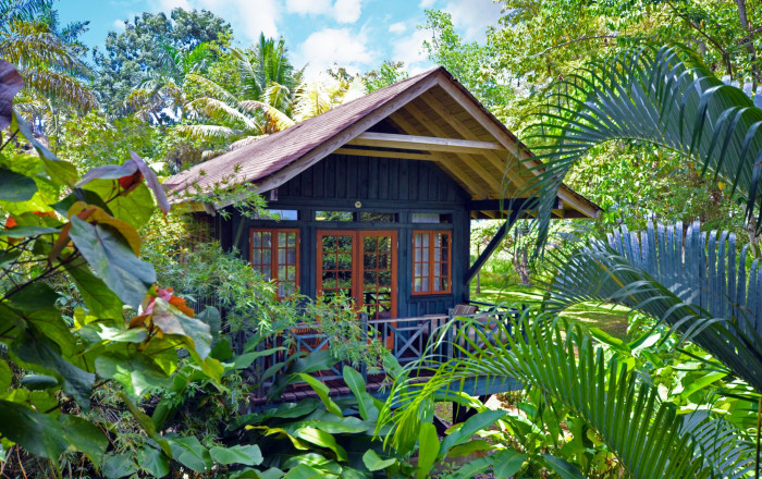 Main image for the offer: Serenity Awaits at Jamaica’s Adults-Only Resort - Stay in a Tree-Top Room and Save up to 54%.