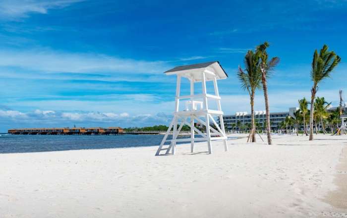 Thumbnail for image 4