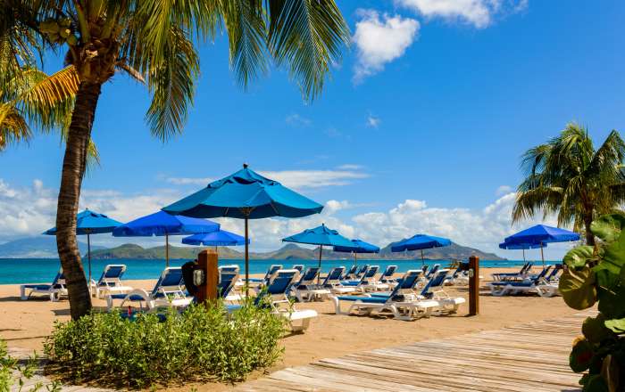 Thumbnail for image 2