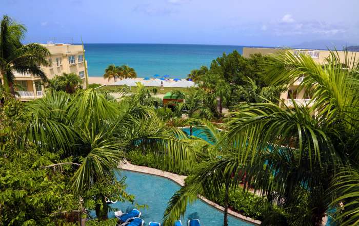 Thumbnail for image 4