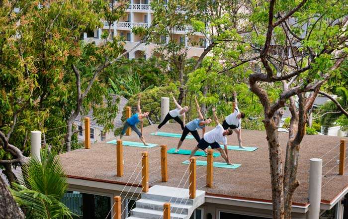 Thumbnail for image 4