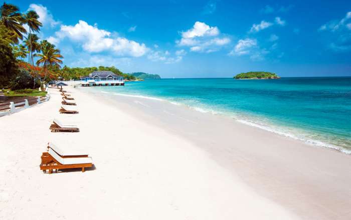 Thumbnail for image 2