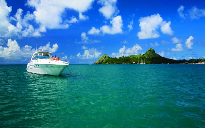 Thumbnail for image 4