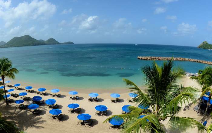 Thumbnail for image 1