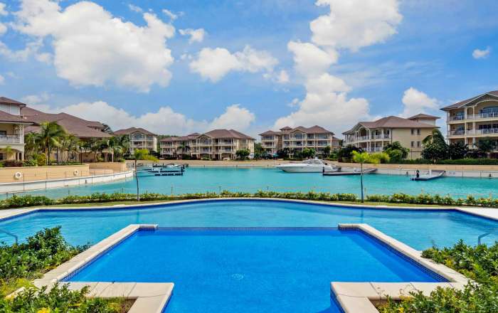 Thumbnail for image 3