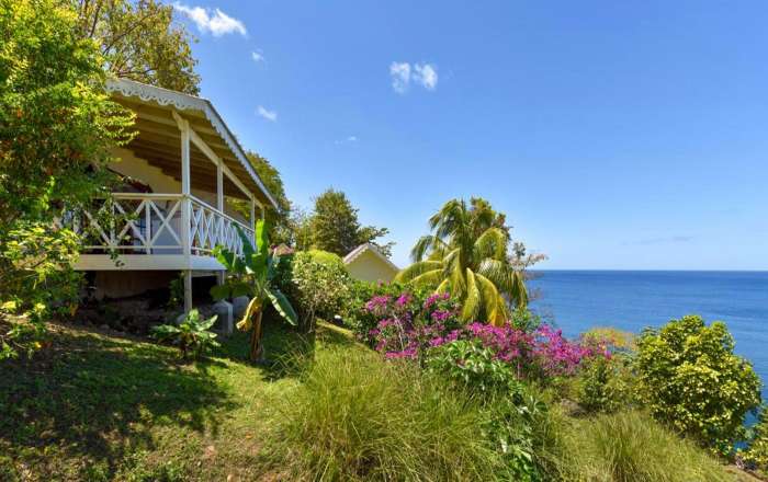 Surround Yourself with Lush Gardens