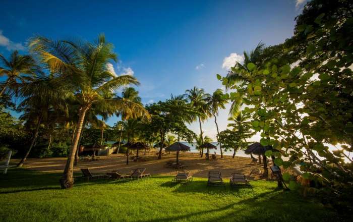 Lounge at the Beachfront