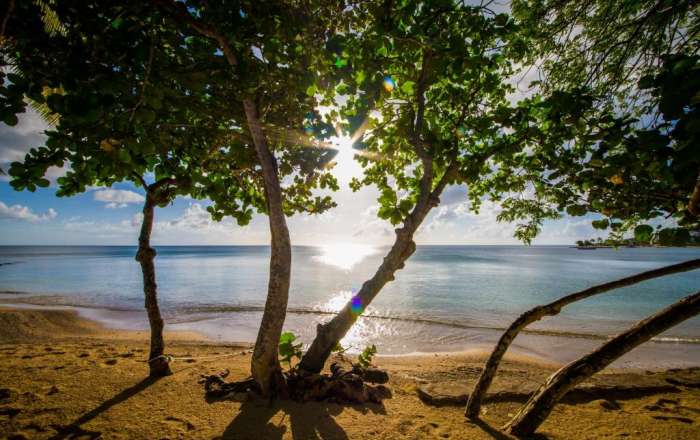 Take a Dip in the Calm Caribbean Sea