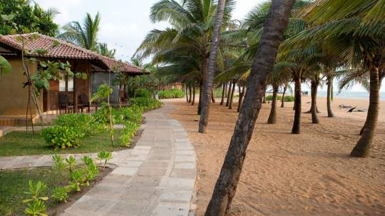 Main image of the hotel Club Hotel Dolphin.