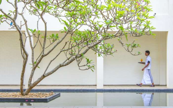 All-inclusive Service at Mermaid Hotel and Club