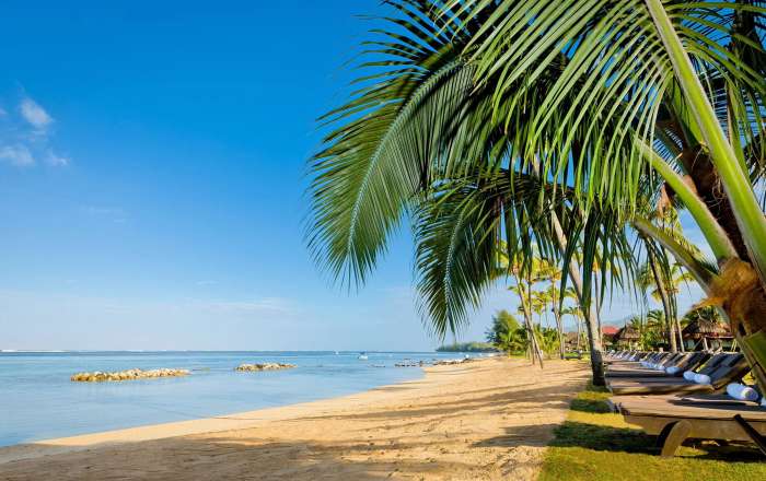 Kick Back on the Soft Warm Sand