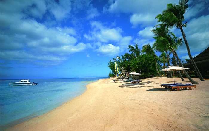 Thumbnail for image 1