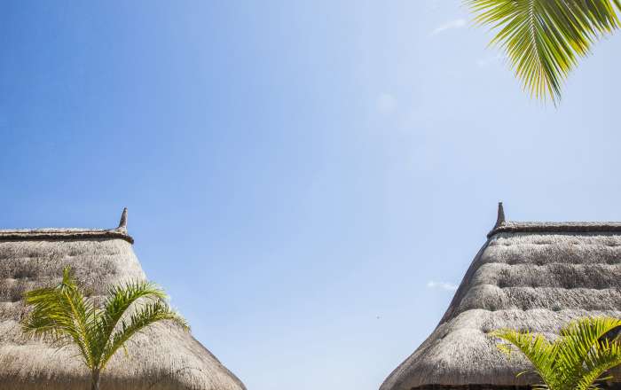 Thumbnail for image 3