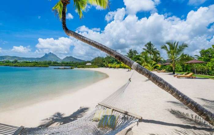 Thumbnail for image 4