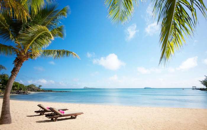 Thumbnail for image 1