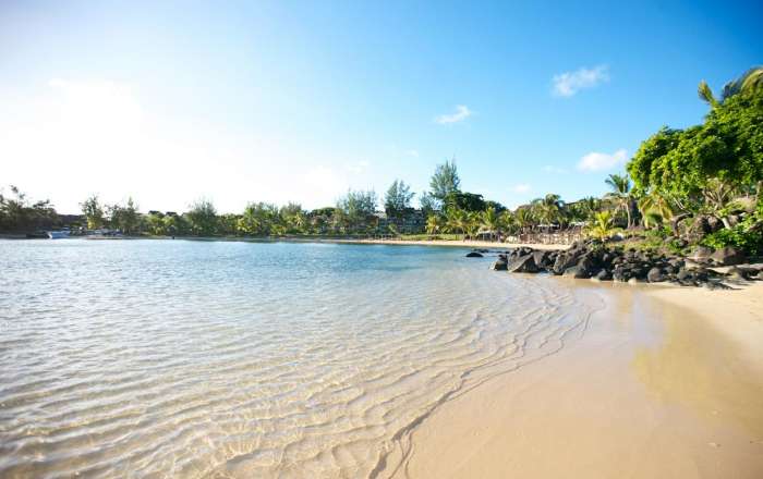 Thumbnail for image 4